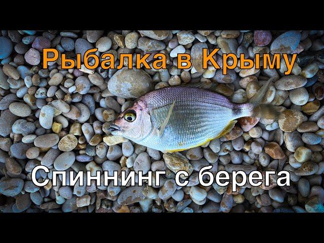 Рыбалка в Крыму. Спиннинг с берега. Черное море 2020