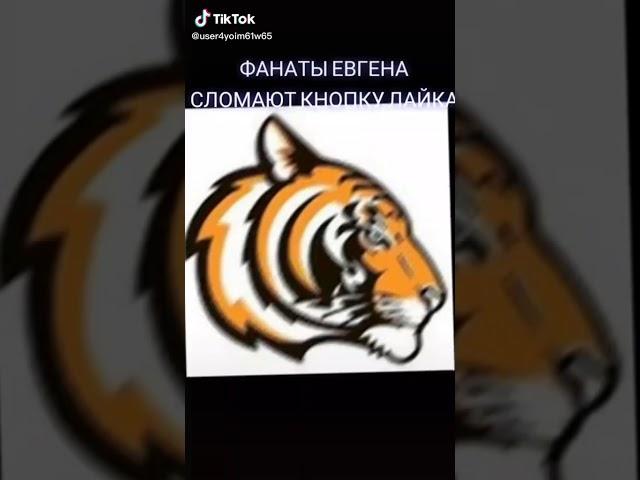 Untitled video