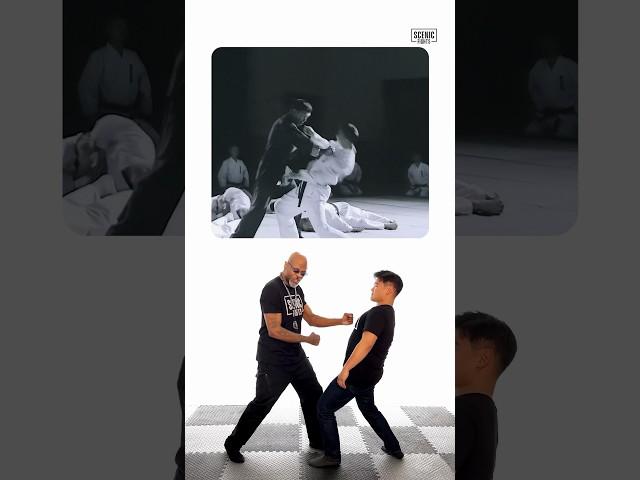 How Legit is Ip Man’s Chain Punch Finisher? #shorts
