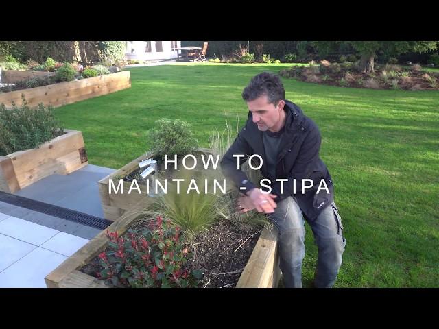 How to maintain - Stipa