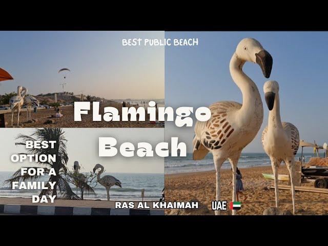 Flamingo Beach In Ras Al Khaimah, UAE  / No Entry Fee For The Beach.