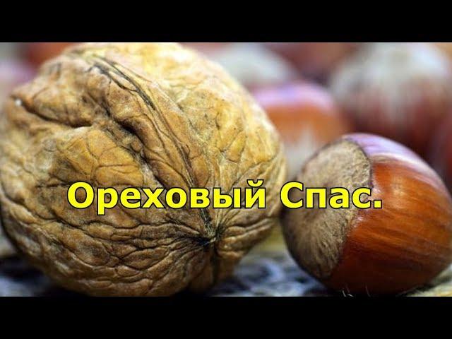 Ореховый Спас. Традиции и приметы праздника.