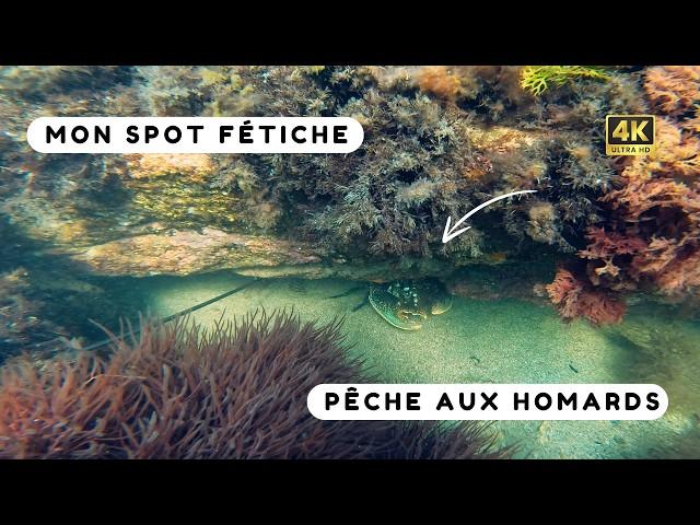 Je vous apprend à pêcher des homards en apnée ! Chasse sous marine Bretagne sud