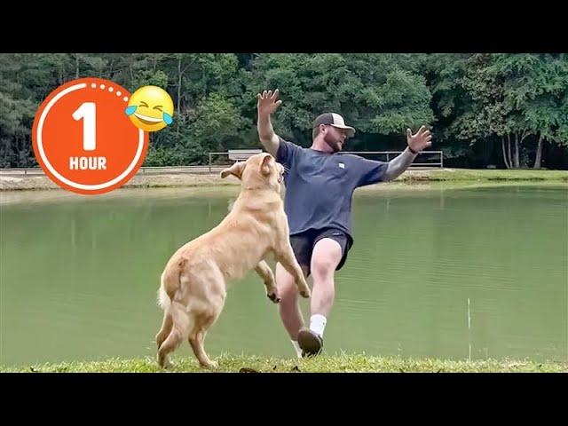 FUNNIEST Pets of 2024...So Far  | BEST Compilation