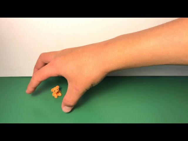 Try to Catch the Teddy Bear (Short Stop Motion)