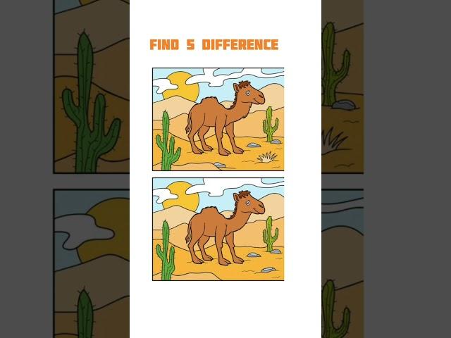 Find 5 difference, Puzzles #28 spot the difference