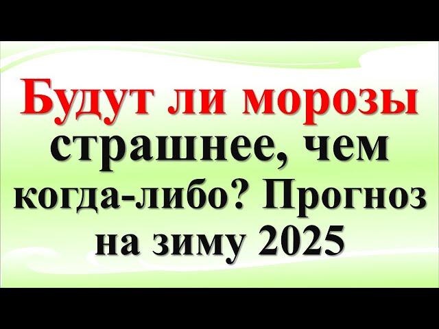 Будут ли морозы страшнее, чем когда-либо? Прогноз на зиму 2025. Астрологический прогноз. Приметы