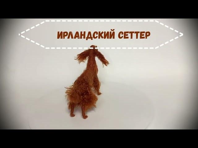 Ирландский сеттер