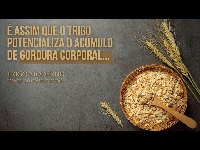 Trigo Moderno - Conteúdo Complementar