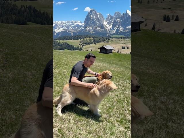 The definition of pure joy 