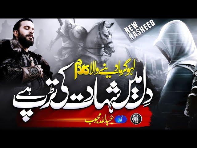 Motivational Nasheed 2023- Dil Mein Shahadat Ki Tarap-Abdullah Mehboob - Cheetah Productions- Tarana