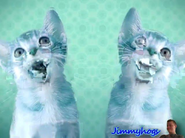 Preview 2 Numa Cat Effects Effects