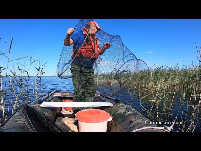 Рыбалка на МОРДУШКУ/КУБАРЬ/ВЕРШУ/Рыбалка на Болоте/Ловля Жёлтого Карася