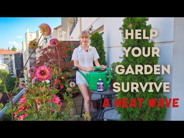 Gardening During a Heatweave - What You Should & Shouldn't Do With Plants