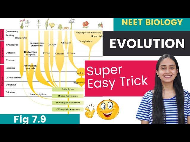 Easy TRICKS to Learn EVOLUTION of Plants | Fig. 7.9 | NEET Biology