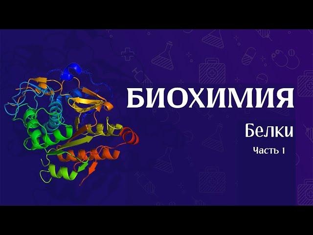 Биохимия | Строение белков часть 1