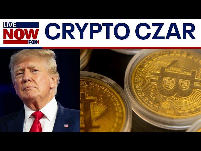 Trump "AI & Crypto Czar" speaks on cryptocurrency AI investment