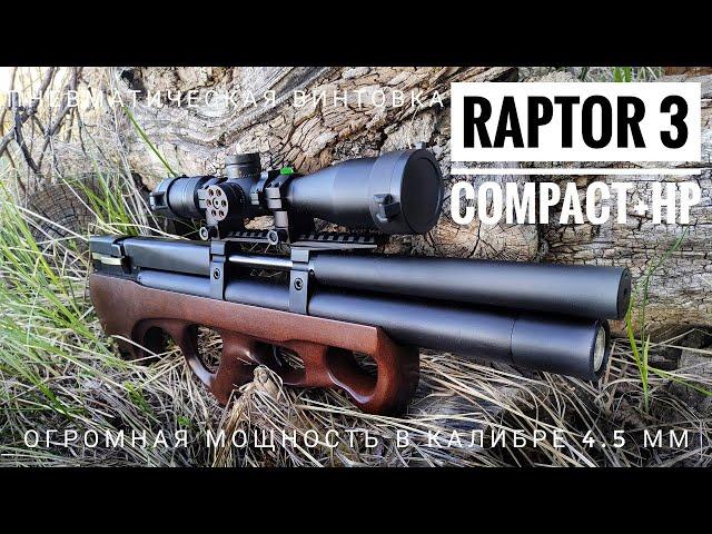 Мощная пневматическая винтовка Raptor 3 Compact+ HP. Отстрел на 25, 50 и 100 метров. Тест и обзор.