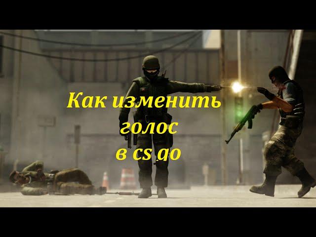 Как изменить голос в cs go