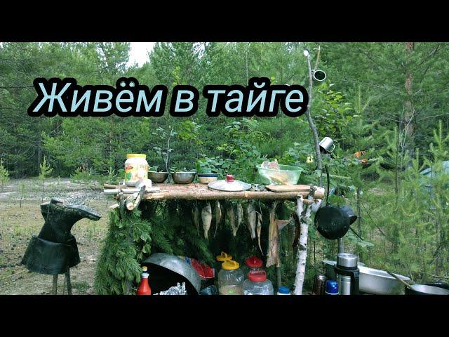 ЖИВЕМ В ТАЙГЕ / ФЛЯГА ОКУНЯ / ЩУКА 10 КГ  #2/2. bushcraft