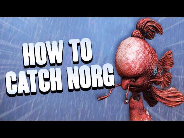 How to Catch a Norg in Warframe #Shorts