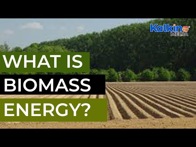 What is Biomass Energy?