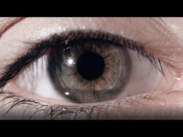 Can You Freeze Time in a Lucid Dream?