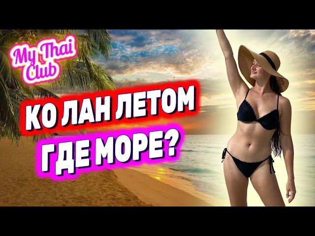 Остров Ко Лан в Паттайе | Обзор пляжей | Жуткие отливы в низкий сезон