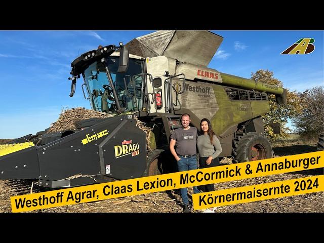 Mais Ernte 2024 Körnermais dreschen Mähdrescher Claas Lexion & Traktor McCormick Landwirtschaft Farm