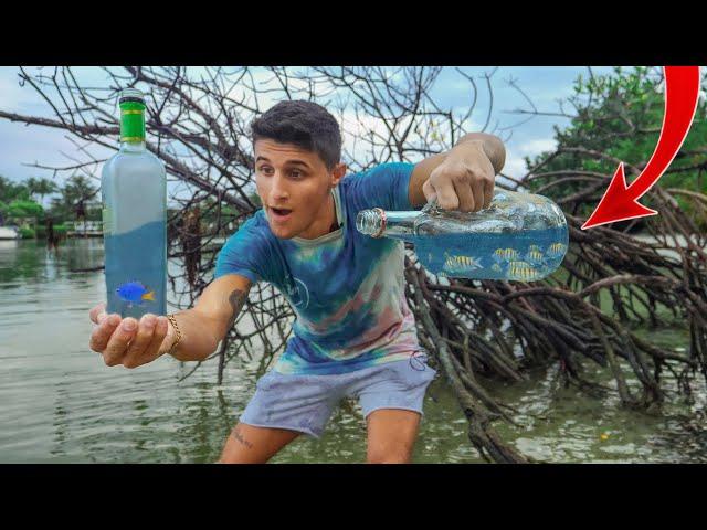 FINDING BABY EXOTIC FISH in GLASS BOTTLES!! *INSANE*