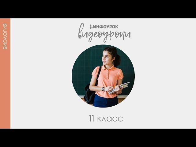 Эволюционное учение Чарлза Дарвина   Биология 11 класс #1   Инфоурок