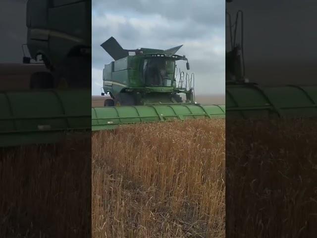 Очісуюча жниварка "Слов'янка УАС-9" з комбайном JOHN DEERE S760i. Збирання пшениці (КАЗАХСТАН 2023)