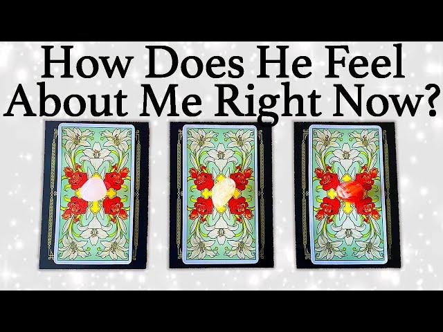 WHAT DOES HE/SHE THINK AND FEEL ABOUT ME RIGHT NOW?| Pick A Card | Love Tarot Reading (Timeless)