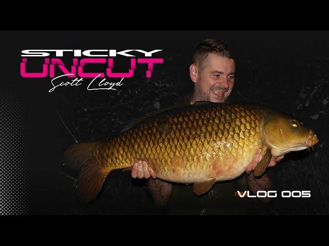 Scott Lloyd | Vlog - 005 | Sticky Uncut | Carp Fishing