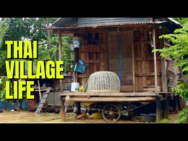 VILLAGE LIFE IN THAILAND, what its like in a small Issan villageชีวิตในหมู่บ้านพิมายประเทศไทย