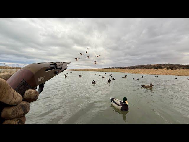 Public Land Solo Duck Hunting the River! (Catch and Cook)