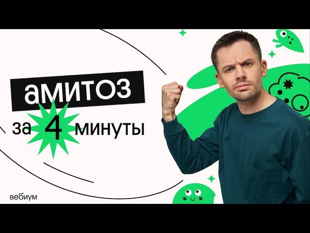 Что такое амитоз? | ЕГЭ биология | Вебиум