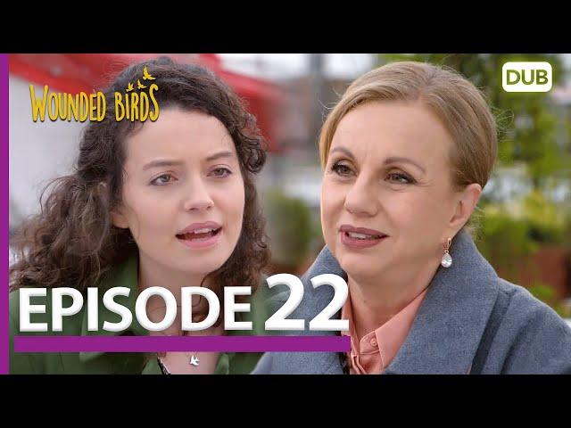 Wounded Birds Episode 22 - Urdu Dubbed | Turkish Drama