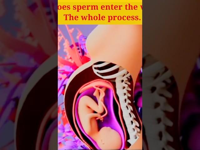 How does sperm enter the vagina. #short #vagina #healthtips #aarviinspire