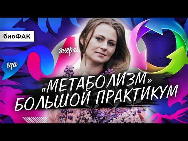 Метаболизм. Большой практикум