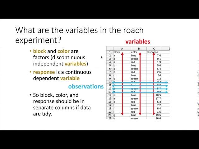 014b What is Tidy Data?