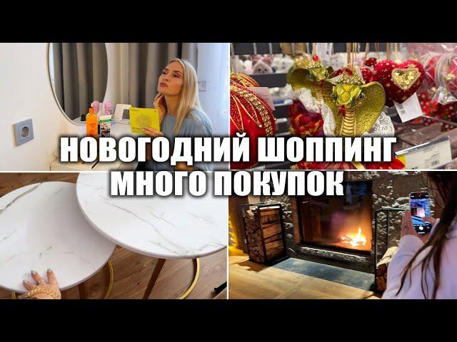 ВЛОГ: ДЕЛАЮ ОВСЯНОБЛИН КАК В PINTEREST! НОВОГОДНИЙ ШОППИНГ! МНОГО ПОКУПОК ДЛЯ ДОМА!