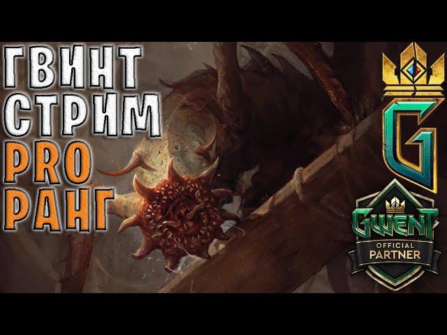 ПРОДОЛЖАЕМ ТЕСТИРОВАТЬ НОВЫЕ КАРТЫ | Gwent