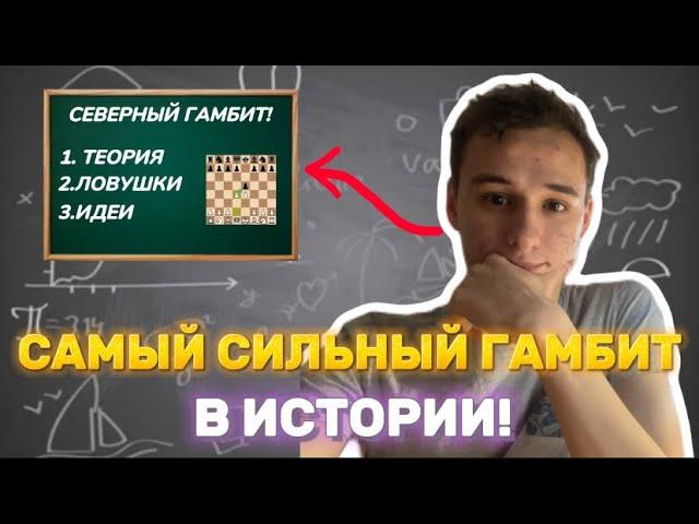 СЕВЕРНЫЙ ГАМБИТ! 5 Ловушек и Веселая игра! +100 рейтинга!