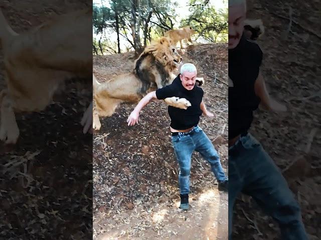 Lion Business