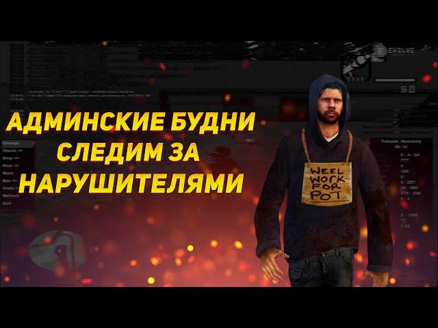 АДМИНСКИЕ БУДНИ - СЛЕДИМ ЗА НАРУШИТЕЛЯМИ НА EVOLVE В GTA SAMP