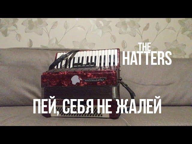 The Hatters - Пей, себя не жалей ( Accordion cover )