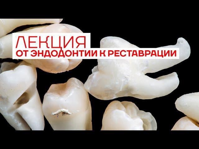 От Эндодонтии к Реставрации. Лекция Максима Белограда