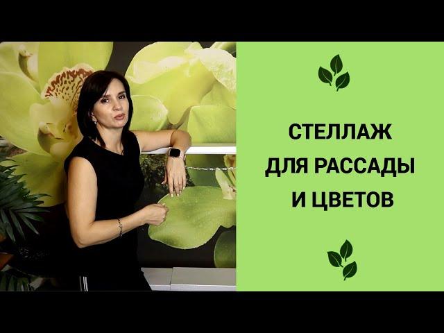 Лучший стеллаж для рассады и цветов