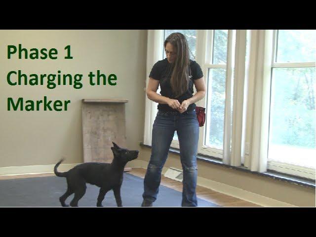 First Thing to Teach a Dog (K9-1.com)